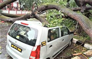 चक्रवात तौकते ने केरल, कर्नाटक, गोवा में मचाई तबाही